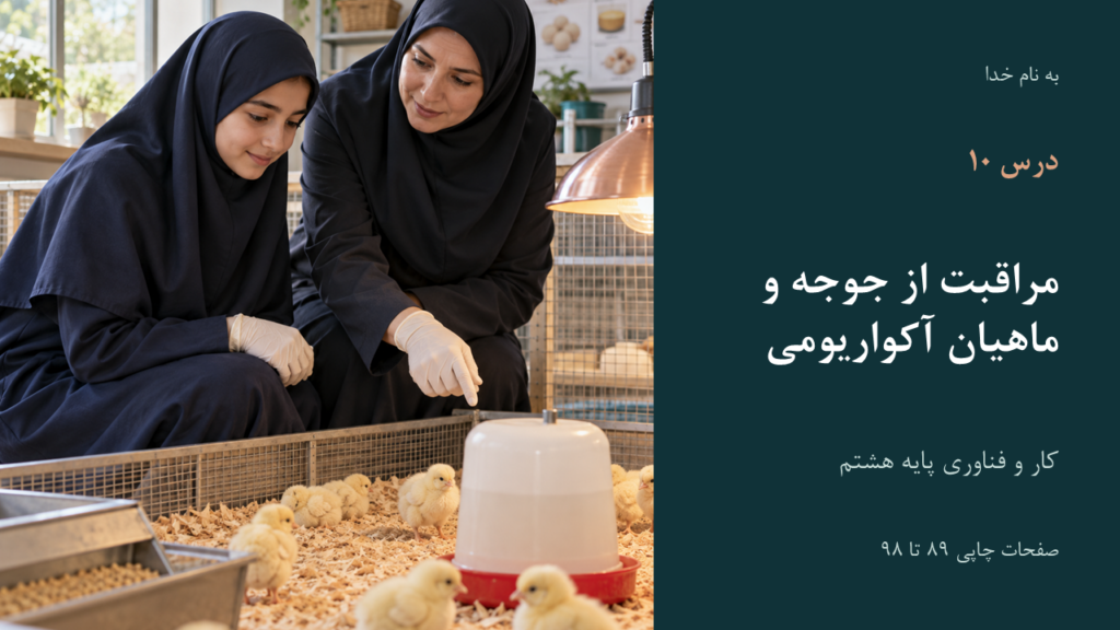 تصویر فایل درس کار و فناوری هشتم؛ درس ۱۰: مراقبت از جوجه و ماهیان آکواریومی